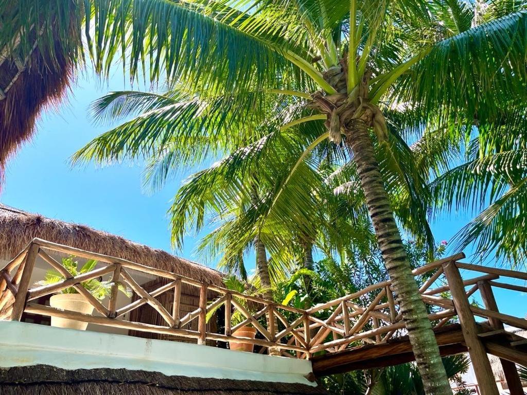 Casa Tom Tom - Adults Only Bed & Breakfast Isla Holbox Екстериор снимка