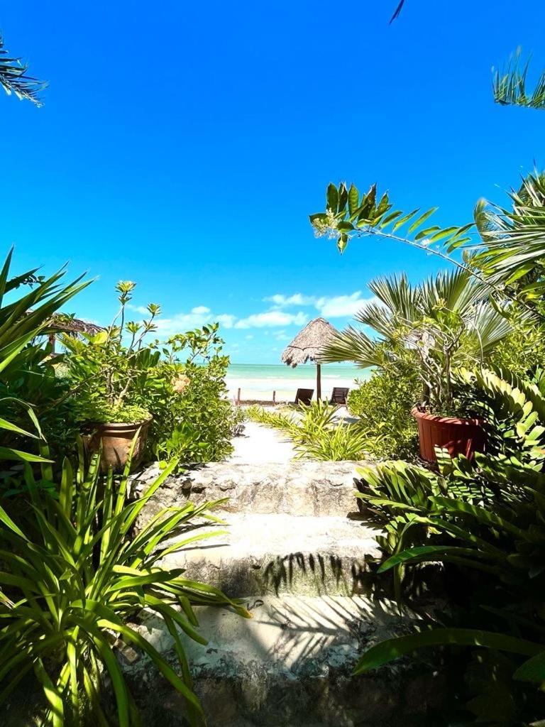 Casa Tom Tom - Adults Only Bed & Breakfast Isla Holbox Екстериор снимка